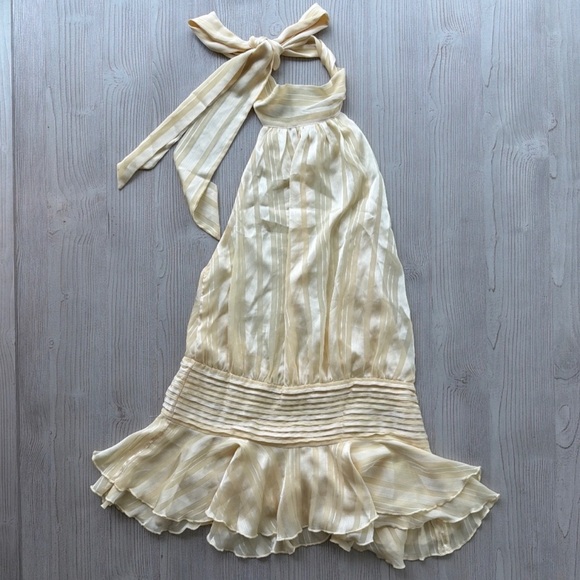 Peppermayo Willow Chiffon Dress - Picture 3 of 5